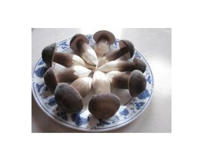 黑皮鸡枞菌鲜菇发到全国各地36元公斤