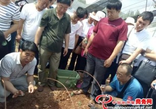 河南：九龙羊肚菌基地开展技术培训 学员热情高