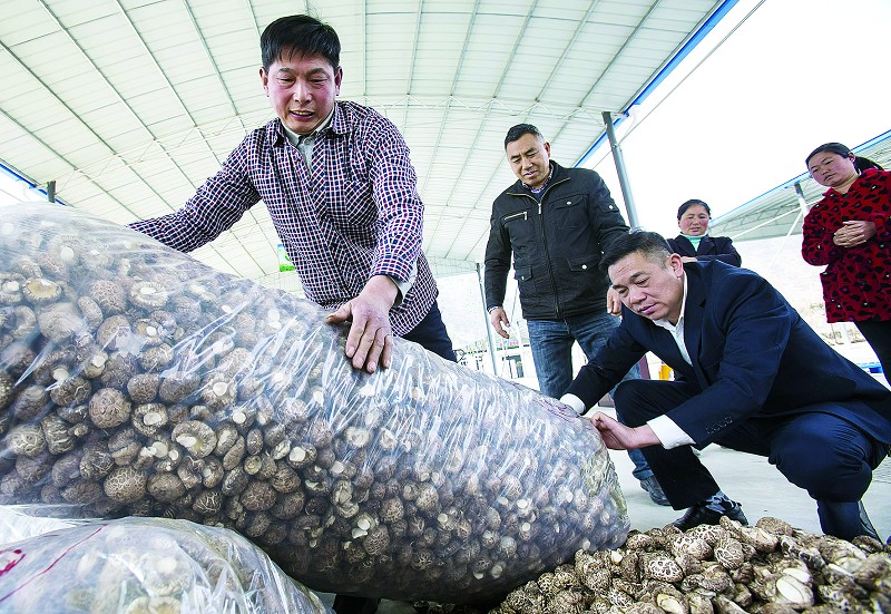 湖北：竹山縣食用菌交易市場正式投入運營