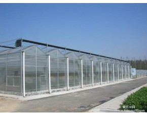 食用菌生产阳光板连栋温室大棚、温室大棚骨架、温室大棚安装河南郑州