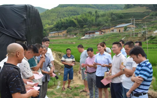 福建：龙岩市新罗区组织姬松茸产业种植现场观摩会