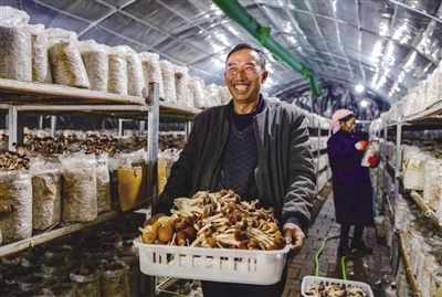 贵州：水城县大力发展食用菌产业助农增收