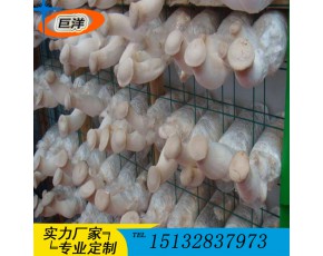 甘肃省食用菌网格架 蘑菇出菇网格厂家 现代化出菇房网格架