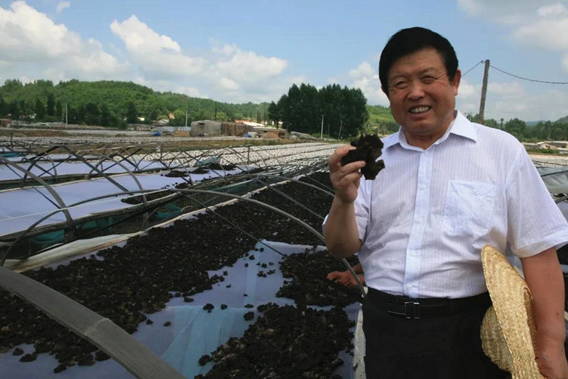 李玉院士树立大食用菌产业和工业化理念实现中国特色的菇业强国梦