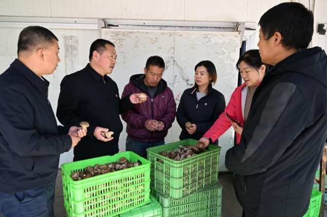 顾瑞利引导群众发展食用菌产业当好乡村振兴领路人