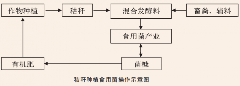 如何用秸秆种植食用菌