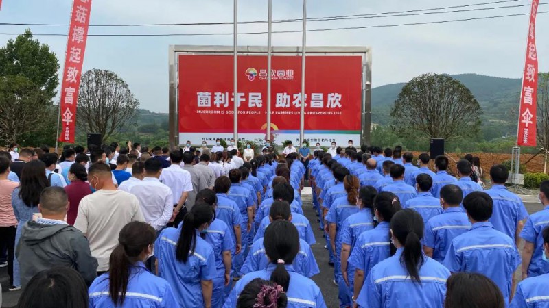 湖北省首家自动化香菇生产企业正式投产