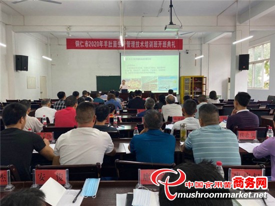 贵州铜仁市2020年羊肚菌生产管理技术培训班在铜仁职业技术学院开班