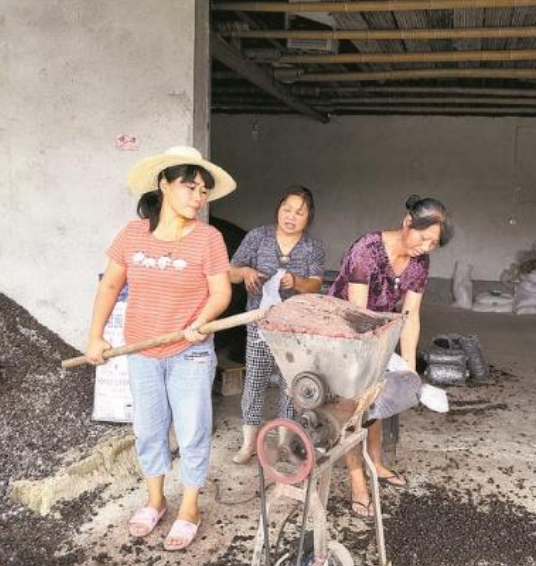 田能鳳：創業女強人 帶動村民闖出致富路