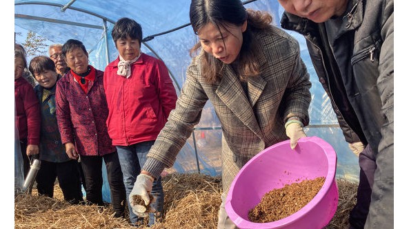 江苏省镇江市句容茅山玉晨村：食用菌产业为乡村振兴增活力