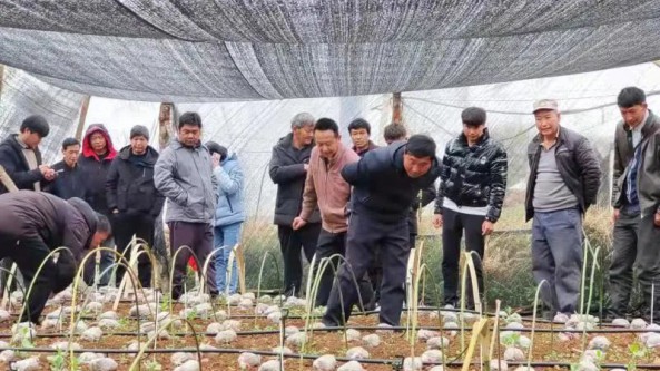 云南省永勝縣六德鄉開展技術培訓推進食用菌種植產業發展