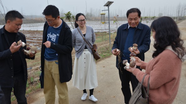 湖北隨州香菇學院院長前往華中農大應用真菌研究所恰談校企合作