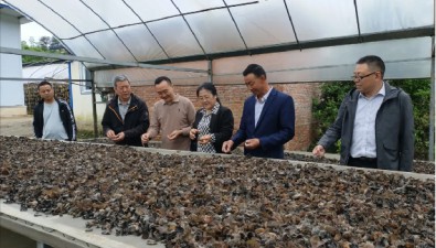 国家第一批产业顾问组到陕西西乡开展食用菌产业科技服务