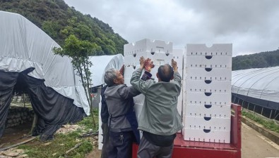 贵州赫章县：珠市乡盘活闲置资产做强食用菌产业