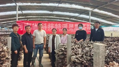河南省科技特派员开展夏季中高温品种出菇技术指导