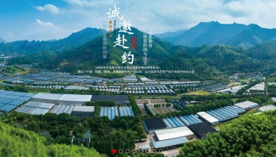 寿仙谷围绕灵芝等核心主业，完善“全产业链”模式