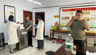 甘肃陇南市农科所：羊肚菌、黑木耳菌种研发取得新进展