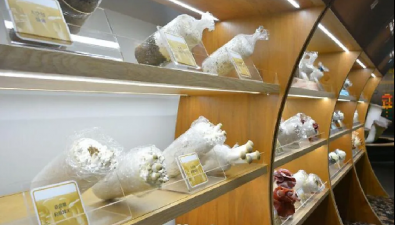 台湾地区首座菇类博物馆，你了解吗？