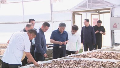 宁夏隆德县：菌菇产业发展有良好发展潜力和市场前景