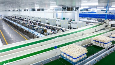 《重庆食用菌产业发展战略研究》发布，食用菌发展势头迅猛