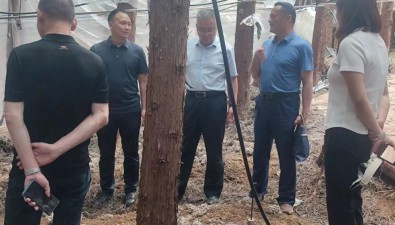 贵州毕节：打造夏季林下网格平菇立体种植基地