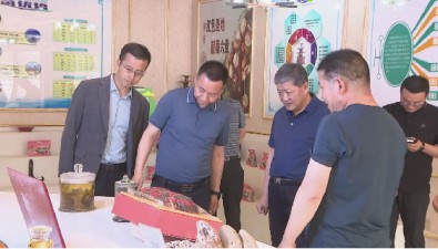 宁夏固原市委书记调研隆德县菌菇产业发展情况