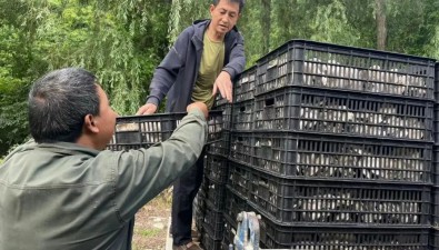 陕西凤县：喇嘛泉村打造食用菌种植基地，预计产值120多万元