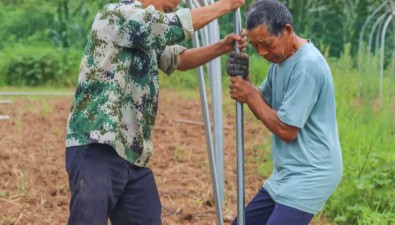 四川广安大龙镇：新建高端食用菌农场