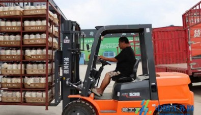 江苏滨海坎北街道：食用菌示范基地日产珍稀菌10000斤 