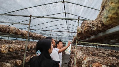 陜西略陽縣：開展食用菌汛期防災減災技術指導