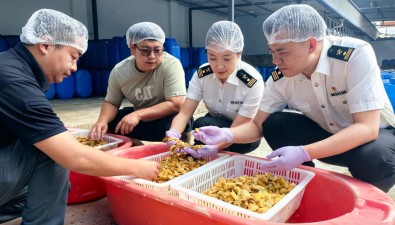 大理海關助力野生食用菌鮮溢海外