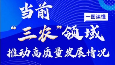 當(dāng)前“三農(nóng)”領(lǐng)域推動高質(zhì)量發(fā)展情況如何？一圖讀懂→