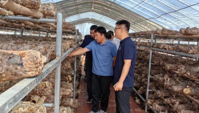 國家食用菌產業技術體系團隊成員李玉研究員赴寧夏固原做技術指導