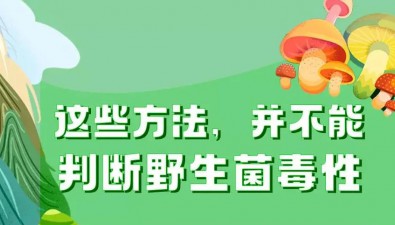 食用野生菌中毒防控要點：不采摘、不買賣、不輕信鑒別方法