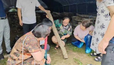 安徽黃山：屯溪區(qū)開展食用菌產(chǎn)學研觀摩活動