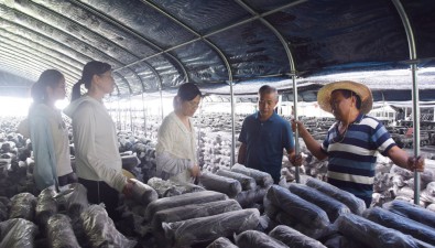 程凌泉：回鄉創辦食用菌基地，帶動村民致富