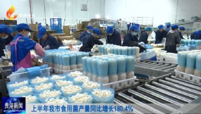 广西贵港：上半年食用菌产量同比增长180.4%