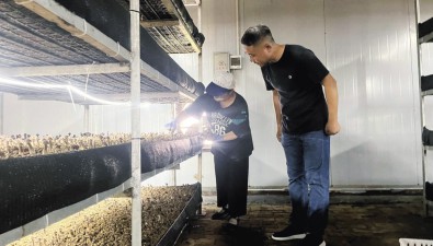 湖南吉首勤豐村：技術(shù)支撐，黑皮雞樅菌二號(hào)種植基地已開工