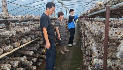 辽宁省食用菌专家团队与企业签署科技特派员协议