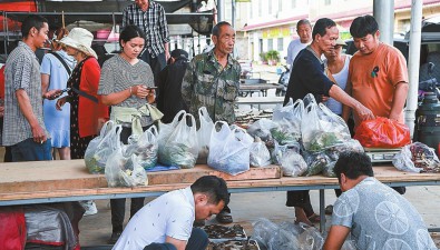 云南峨山县：菌子热卖农户增收