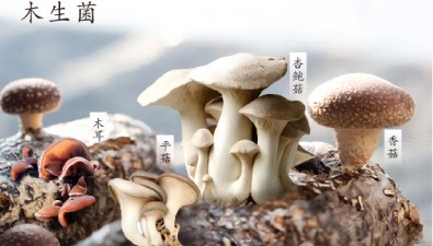 各種食用菌生長環(huán)境，有什么不同