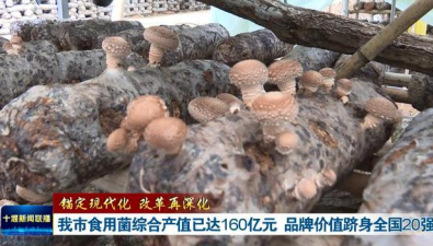 湖北十堰：食用菌综合产值已达160亿元