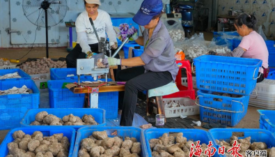 南科食用菌公司：年產(chǎn)菌包2000萬(wàn)包