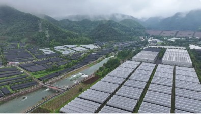 壽仙谷國(guó)藥基地靈芝孢子粉豐收開采