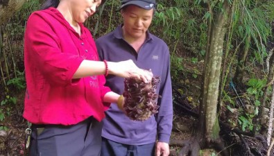 李玉梅：借“智”生“蛋”，做強(qiáng)食用菌“芯片”