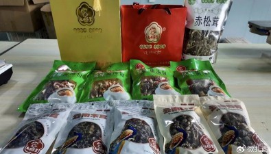 扎西菇爹：做強品牌，帶動全縣食用菌產業高質量發展