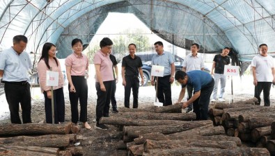 國家食用菌產業技術體系崗站專家檢查指導鄂西綜合試驗站工作