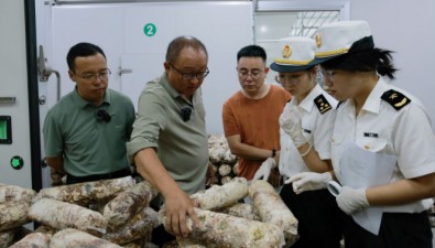 馬合農場：4萬袋香菇出口韓國