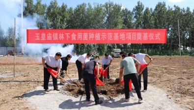 山東：濟(jì)南市玉皇廟鎮(zhèn)舉行林下食用菌種植示范基地項(xiàng)目開工建設(shè)