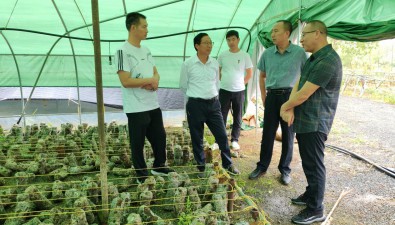 “隨縣香菇種植工”培訓送到田間地頭